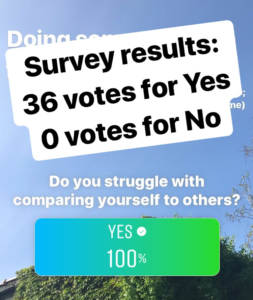 Instagram survey results for question in blog text.