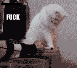 [gif description: looped video of a fluffy white cat sitting on a desk repeatedly knocking items off the edge. text reads “fuck this, fuck that, fuck those too, fuck all these, fuck this thing in particular”]