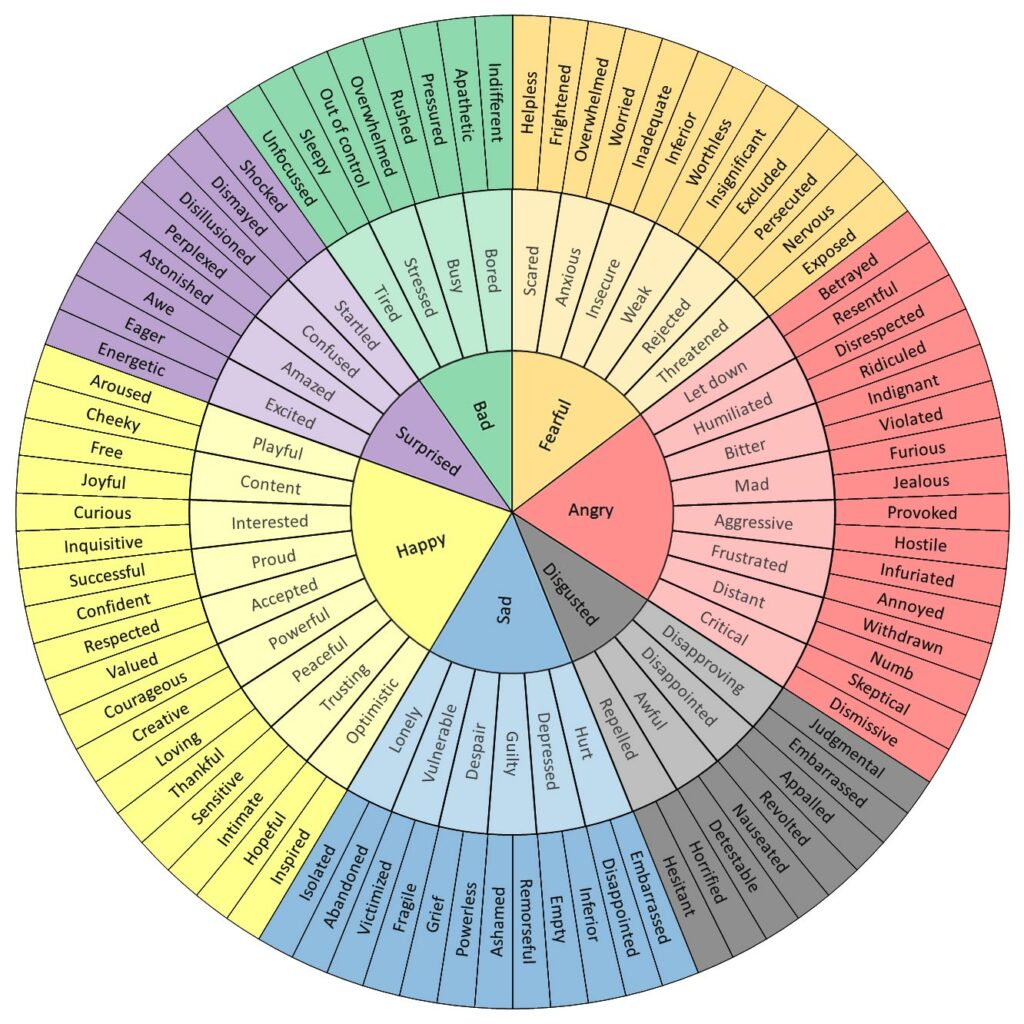 A wheel of three concentric circles that lists emotions in 7 basic categories at the center: bad, fearful, angry, disgusted, sad, happy, surprised. Each category has its own color, and branches off from that one broad emotion to more specific emotions to even more specific emotions.