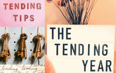 1.26: Top Five Tending Tips