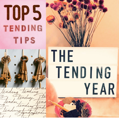 1.26: Top Five Tending Tips