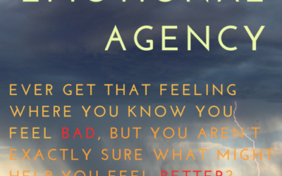 1.31: Emotional Agency