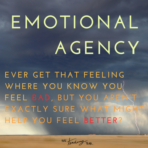 1.31: Emotional Agency