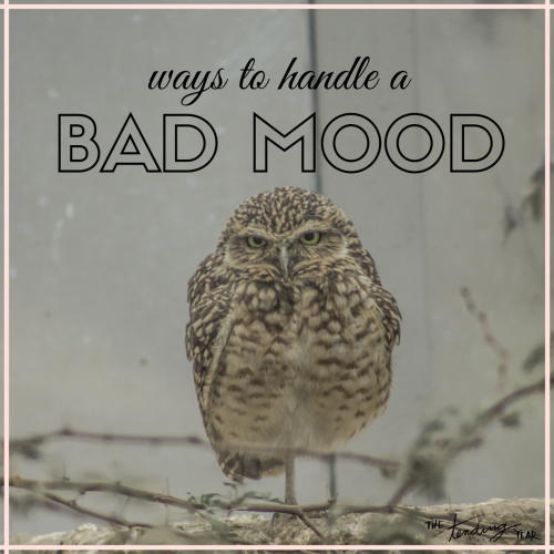 1.39: Ways to Handle a Bad Mood