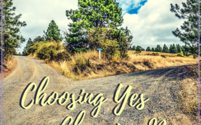 1.44: Choosing Yes, Choosing No