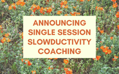 Announcing Single Session Slowductivity Coaching