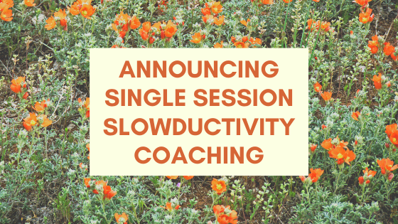 Announcing Single Session Slowductivity Coaching