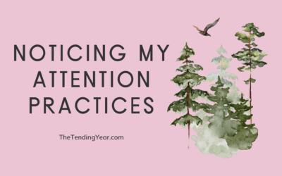 Noticing My Attention Practices